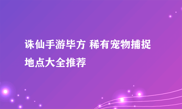 诛仙手游毕方 稀有宠物捕捉地点大全推荐