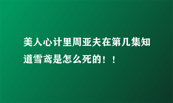 美人心计里周亚夫在第几集知道雪鸢是怎么死的！！