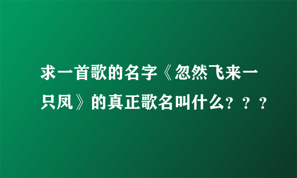 求一首歌的名字《忽然飞来一只凤》的真正歌名叫什么？？？