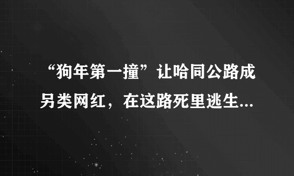 “狗年第一撞”让哈同公路成另类网红，在这路死里逃生是啥体验？