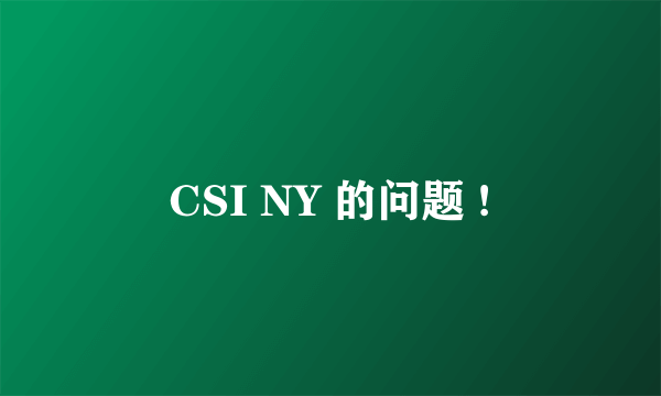 CSI NY 的问题 !