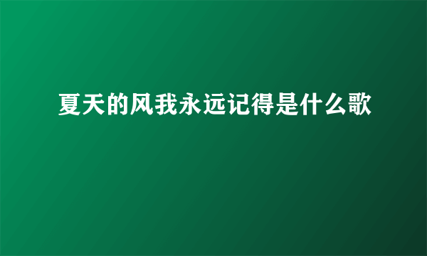 夏天的风我永远记得是什么歌