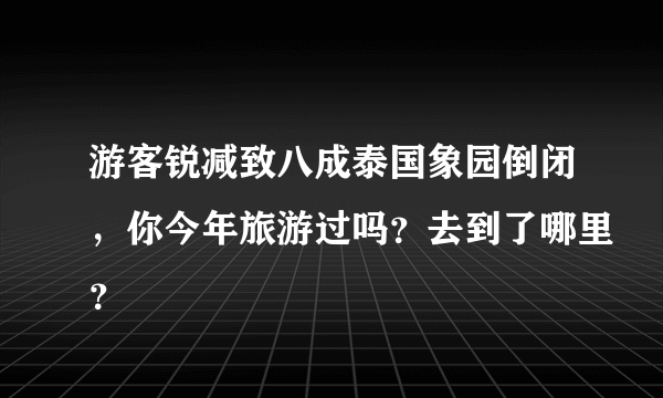 游客锐减致八成泰国象园倒闭，你今年旅游过吗？去到了哪里？