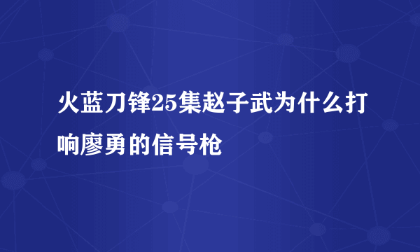 火蓝刀锋25集赵子武为什么打响廖勇的信号枪