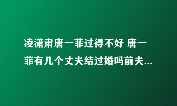 凌潇肃唐一菲过得不好 唐一菲有几个丈夫结过婚吗前夫是不是曹征