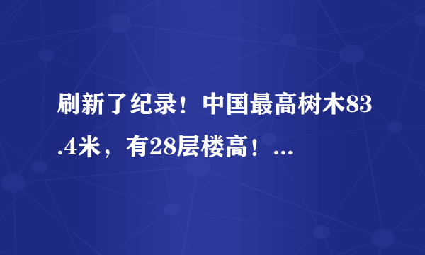 刷新了纪录！中国最高树木83.4米，有28层楼高！第二高在哪里？