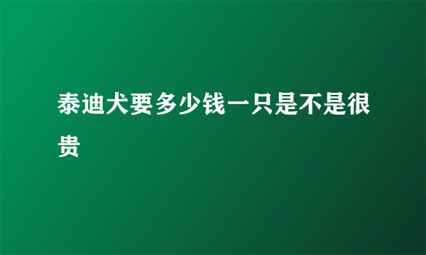 泰迪犬要多少钱一只是不是很贵