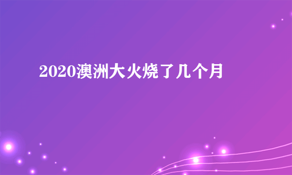 2020澳洲大火烧了几个月