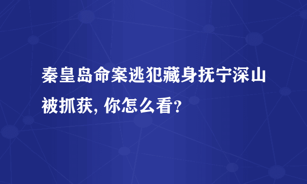 秦皇岛命案逃犯藏身抚宁深山被抓获, 你怎么看？