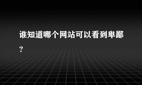 谁知道哪个网站可以看到卑鄙？