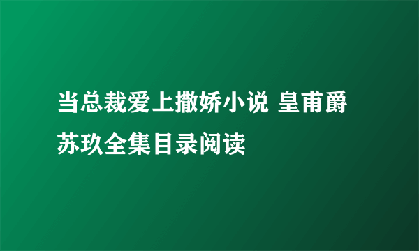 当总裁爱上撒娇小说 皇甫爵苏玖全集目录阅读