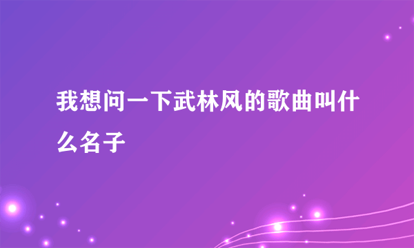 我想问一下武林风的歌曲叫什么名子