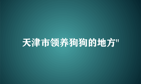 天津市领养狗狗的地方