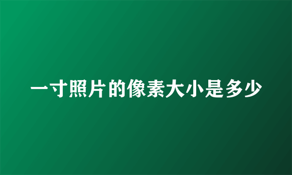 一寸照片的像素大小是多少