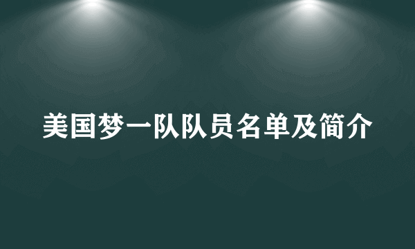 美国梦一队队员名单及简介