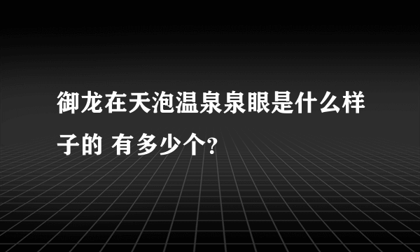 御龙在天泡温泉泉眼是什么样子的 有多少个？