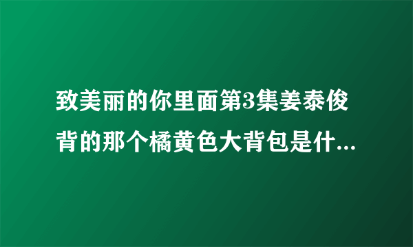 致美丽的你里面第3集姜泰俊背的那个橘黄色大背包是什么牌子的呀？谢谢了