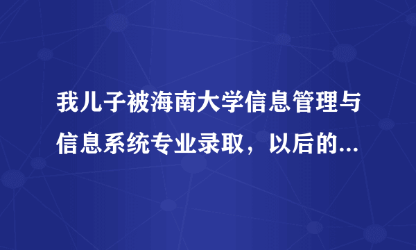 我儿子被海南大学信息管理与信息系统专业录取，以后的就业前景怎样？