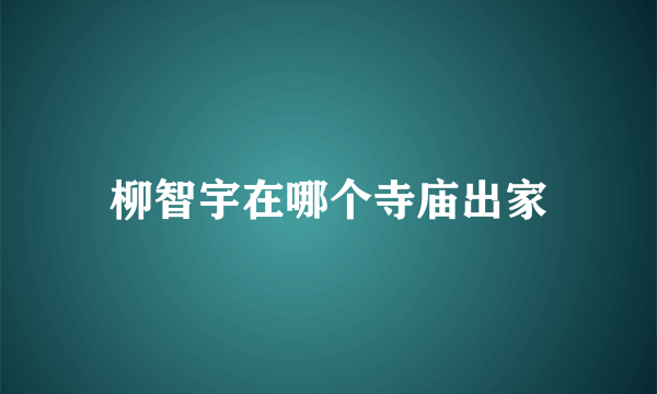 柳智宇在哪个寺庙出家