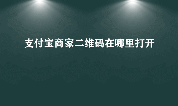 支付宝商家二维码在哪里打开