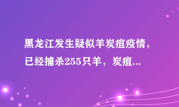 黑龙江发生疑似羊炭疽疫情，已经捕杀255只羊，炭疽病有多可怕？如何避免被传染？