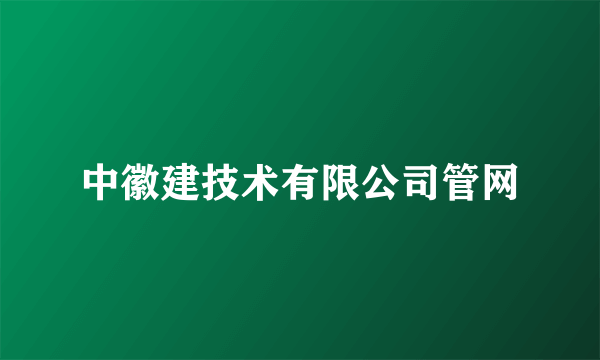 中徽建技术有限公司管网