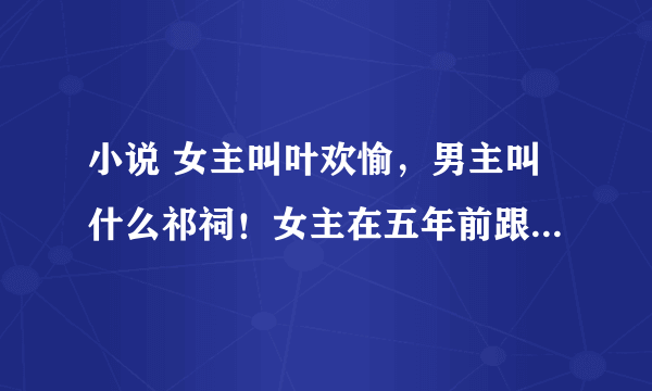 小说 女主叫叶欢愉，男主叫什么祁祠！女主在五年前跟男主契约生下一对双胞胎儿子，女主偷偷把一个留了下