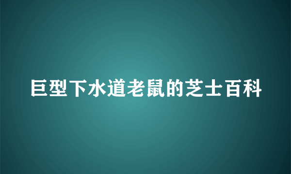 巨型下水道老鼠的芝士百科