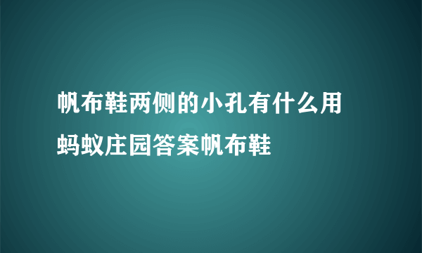 帆布鞋两侧的小孔有什么用 蚂蚁庄园答案帆布鞋