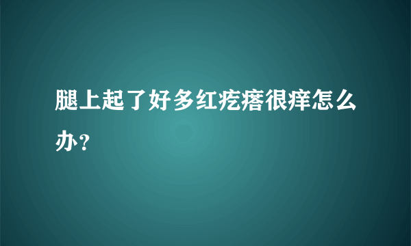 腿上起了好多红疙瘩很痒怎么办？