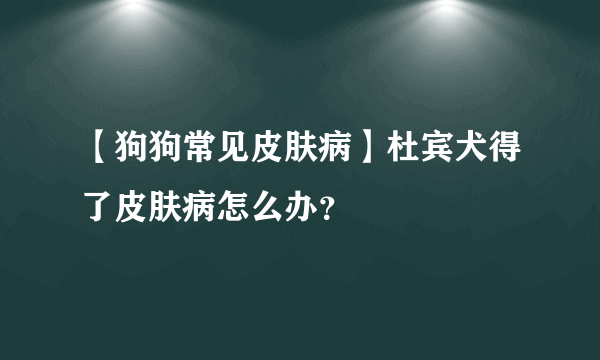 【狗狗常见皮肤病】杜宾犬得了皮肤病怎么办？