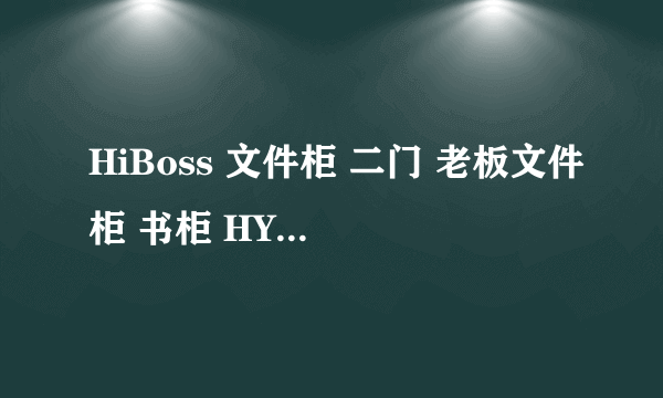 HiBoss 文件柜 二门 老板文件柜 书柜 HY-WG142-3H 贵不贵啊?