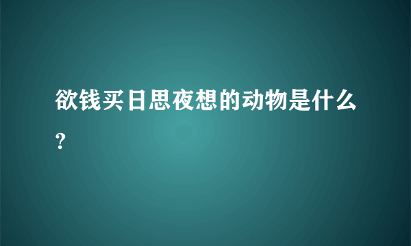 欲钱买日思夜想的动物是什么?