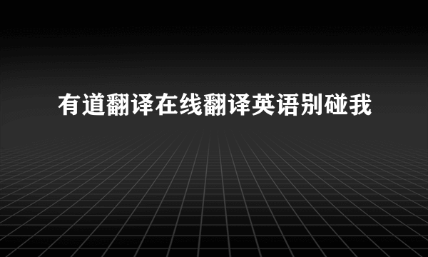 有道翻译在线翻译英语别碰我