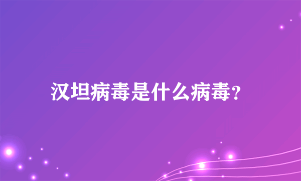 汉坦病毒是什么病毒？