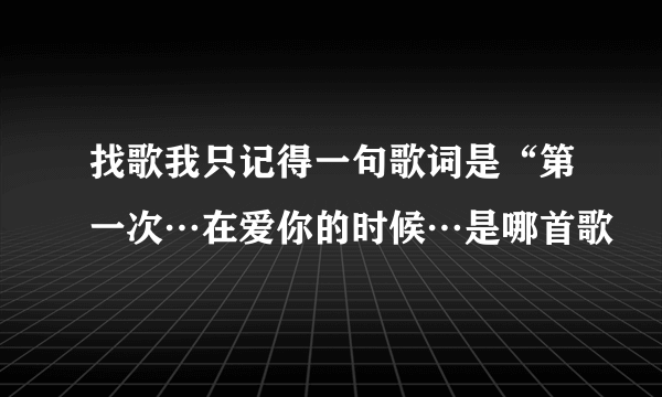 找歌我只记得一句歌词是“第一次…在爱你的时候…是哪首歌