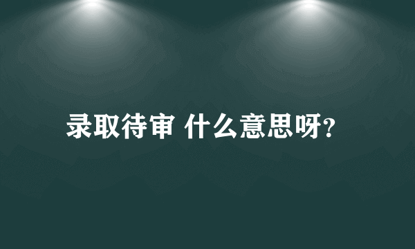 录取待审 什么意思呀？