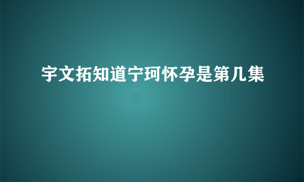 宇文拓知道宁珂怀孕是第几集