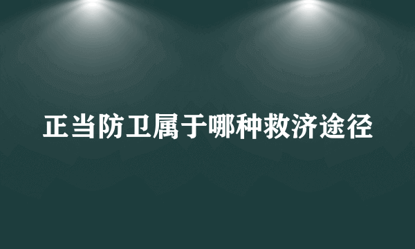 正当防卫属于哪种救济途径