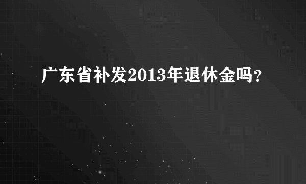 广东省补发2013年退休金吗？