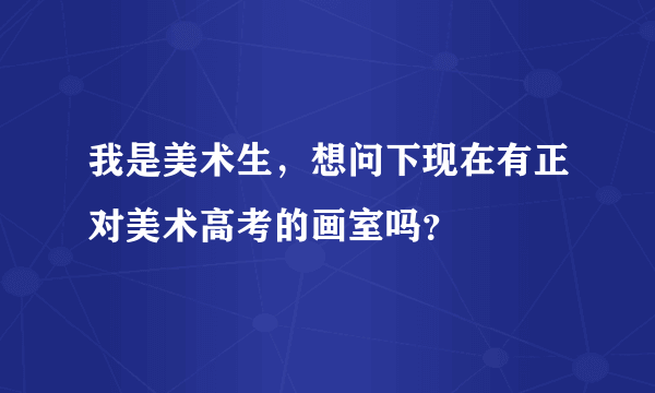 我是美术生，想问下现在有正对美术高考的画室吗？