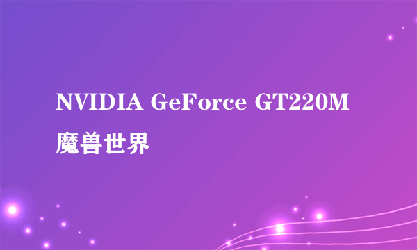 NVIDIA GeForce GT220M  魔兽世界