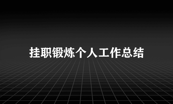 挂职锻炼个人工作总结