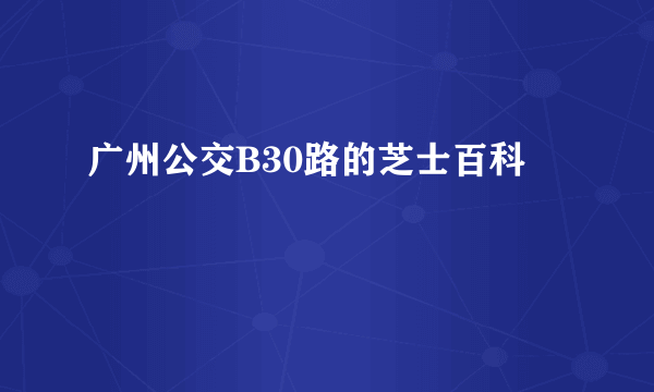 广州公交B30路的芝士百科