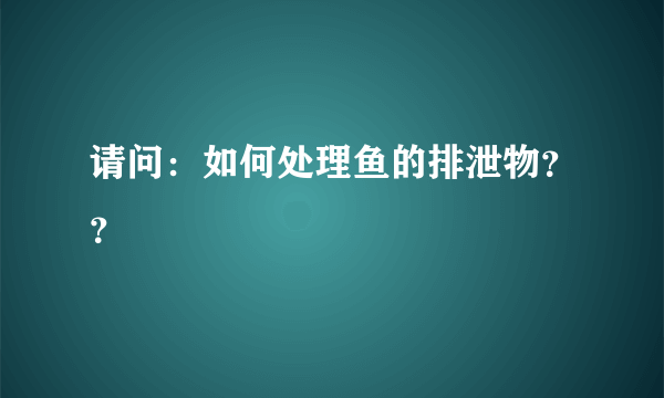 请问：如何处理鱼的排泄物？？