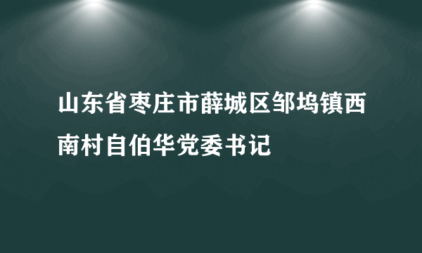 山东省枣庄市薛城区邹坞镇西南村自伯华党委书记