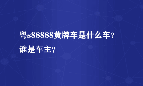 粤s88888黄牌车是什么车？谁是车主？