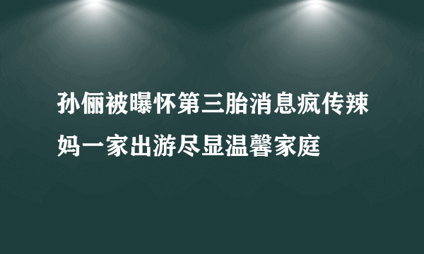 孙俪被曝怀第三胎消息疯传辣妈一家出游尽显温馨家庭