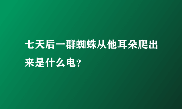 七天后一群蜘蛛从他耳朵爬出来是什么电？