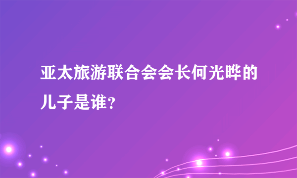 亚太旅游联合会会长何光晔的儿子是谁？